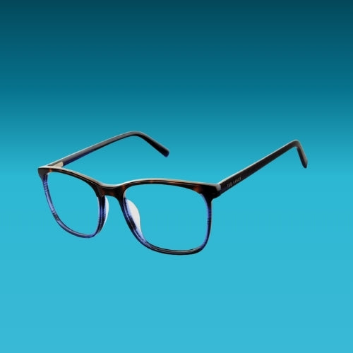 Ted Baker Optical TFM011 TOR 53